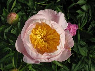 IMG_6343.JPG