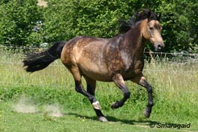06_Bright-Roxanne_2006-06-24_5334.jpg