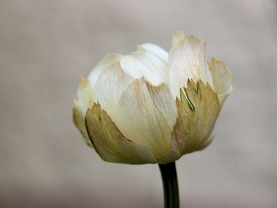 DSCN0018_uu.jpg