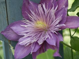 Crystal_Fountain_0805.jpg