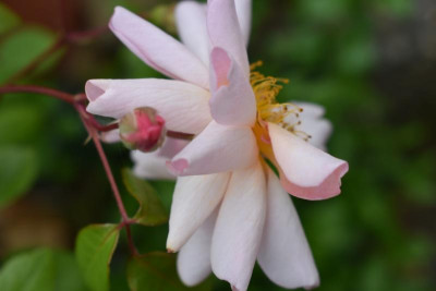 DSC_0280.JPG