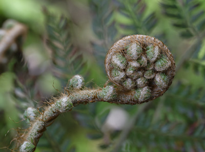 DSC_7526_DxO.jpg