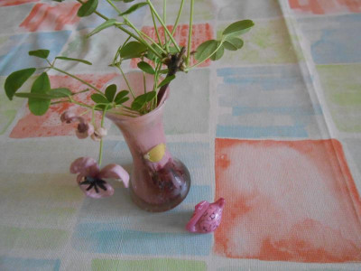 DSCN5850.JPG