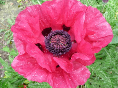 31.05.2008.50.JPG