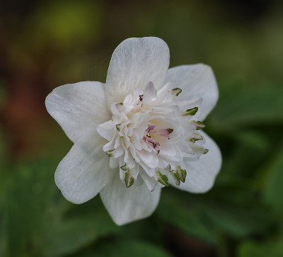 DSC_7521_DxO.jpg