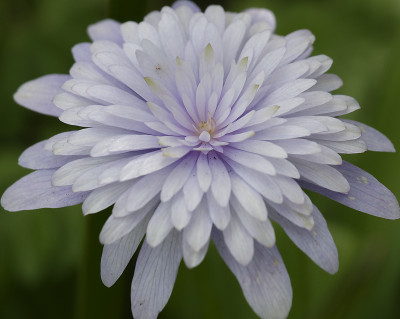 DSC_7517_DxO.jpg