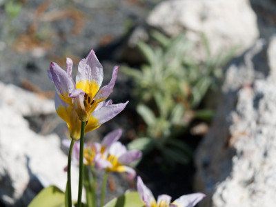 P5030040_800px.jpg