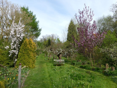 2023-05-04 Gartenimpressionen 1.jpg