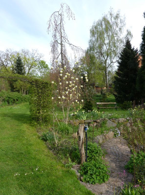 2023-05-04 Gartenimpressionen 2.jpg