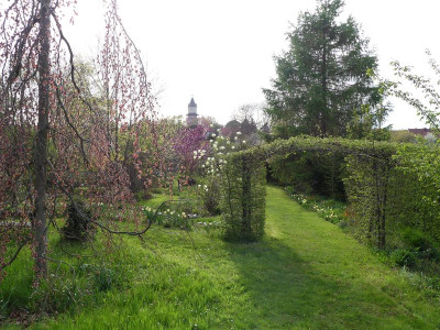 2023-05-04 Gartenimpressionen 5.jpg