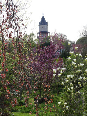 2023-05-04 Gartenimpressionen 6.jpg