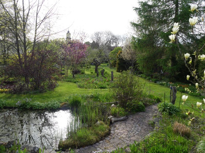2023-05-04 Gartenimpressionen 7.jpg