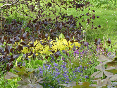 2023-05-04 Gartenimpressionen 4.jpg