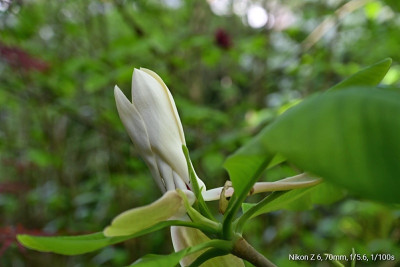 _DSC5567-01.jpeg