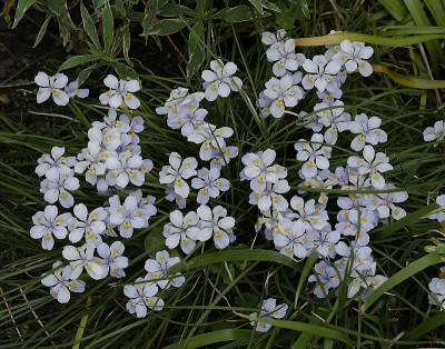DSC_7556_DxO.jpg
