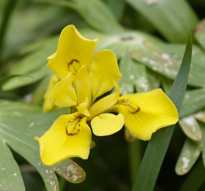 DSC_7557_DxO.jpg