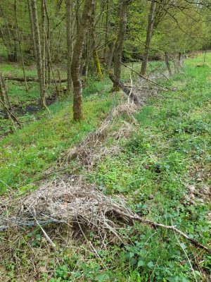 müssensieselbermachen.jpg