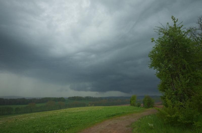 BILD0246.jpg