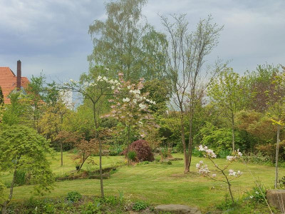 IMG20230505130638.jpg