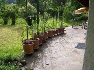 100_0235_640x480.jpg