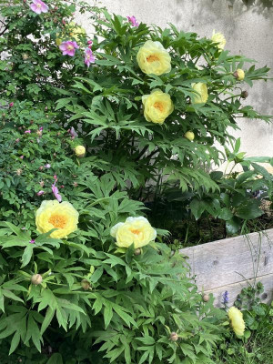 IMG_8839.jpeg