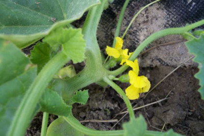 K640_100_5170.JPG