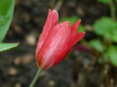 P1090600.JPG