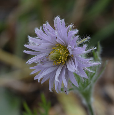 DSC_7566_DxO.jpg