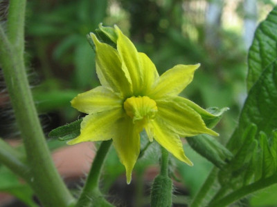 31_05f.JPG