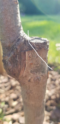20230508_164413.jpeg