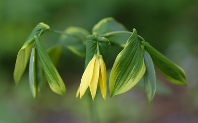 DSC_7568_DxO.jpg
