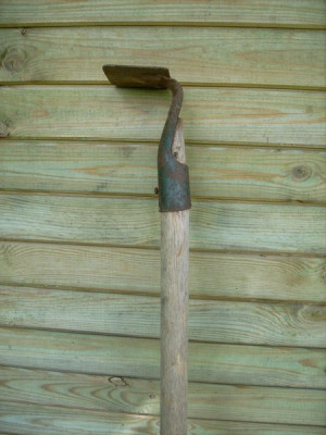 Unkrauthacke_01062008.jpg