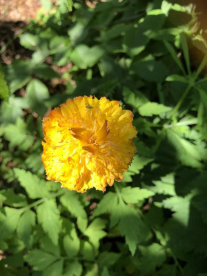 IMG_0780.jpeg