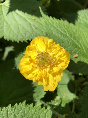 IMG_0782.jpeg