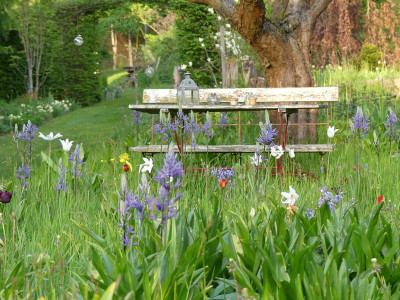 2023-05-11 Gartenimpressionen 1.jpg