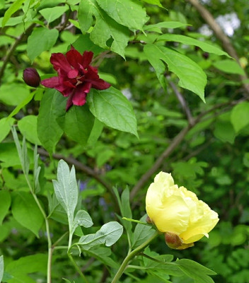 _DSC5582-01-01.jpeg