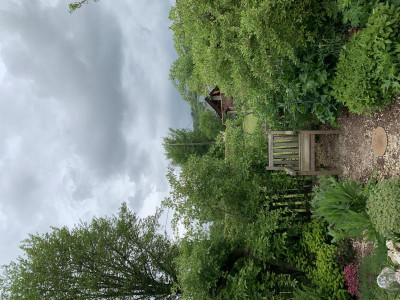 D57D3D68-6D32-47CF-8506-51A9A0704058.jpeg