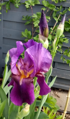 IMG_20210504_085959673_HDR~2.jpg