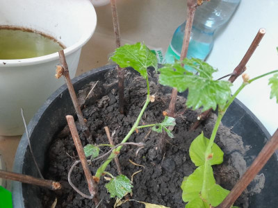 20230514_092152.jpg