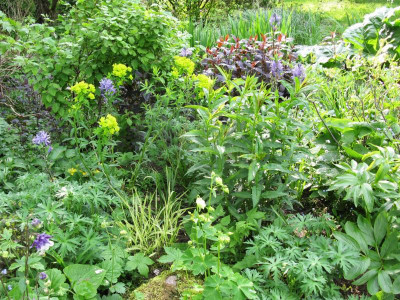 Teichbeet 120423.JPG