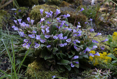 DSC_7577_DxO.jpg