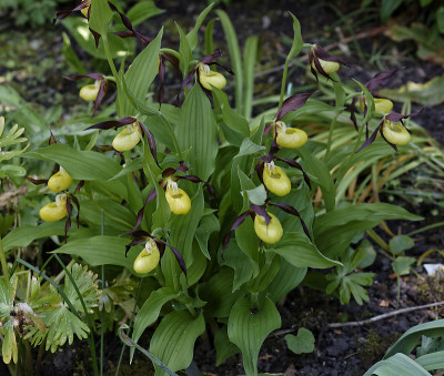 DSC_7576_DxO.jpg