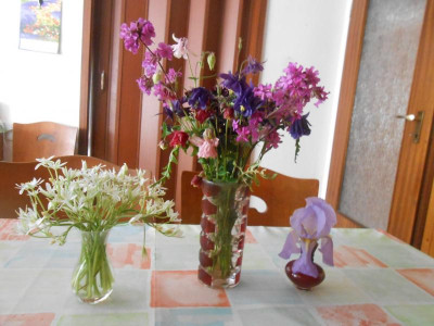 DSCN5880.JPG