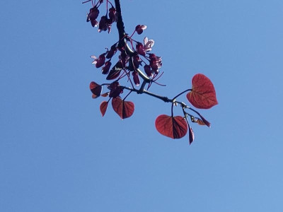 IMG20230513155457.jpg
