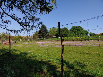 Wiesenburg20230514_100806.jpg