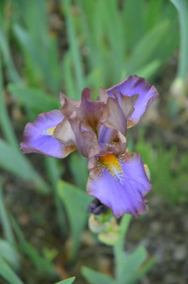 D8658.JPG