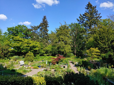 Foerstergarten20230512_171005_HDR.jpg
