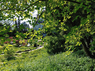Foerstergarten20230512_165933.jpg