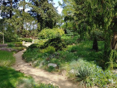 Foerstergarten20230511_150220.jpg