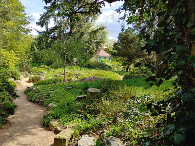 Foerstergarten20230511_150112_HDR.jpg